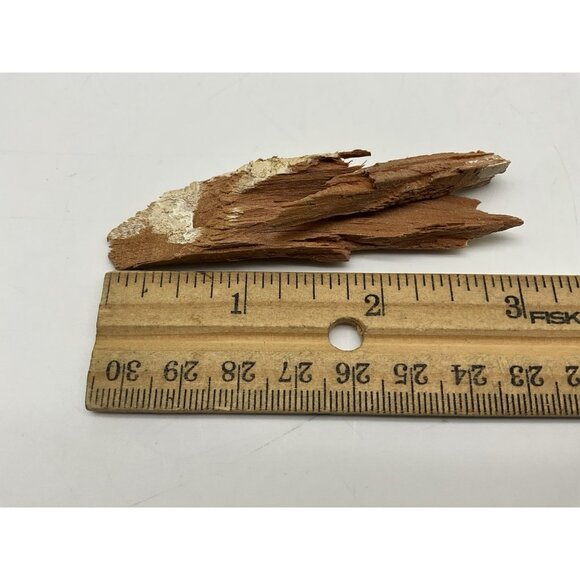 1960 Rose Bowl  Pieces Of Goal Post Torn Down By The Washington Husky Fans - Picture 7 of 11